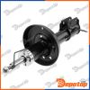 Amortisseur de suspension arrière pour OPEL | A-PL-023, 313388